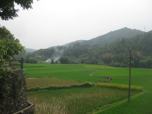 6. Rice Paddies, Chengyang