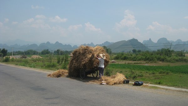28. Loading the cart up with hay, on the way to Xingping