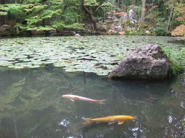 128. Gardens, Nanzen-ji temple, Kyoto