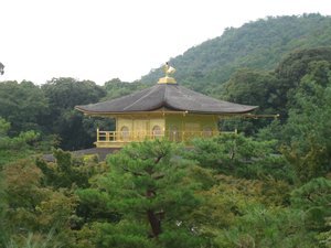 35. The top of the Golden Temple peaking above the treeline, Kyoto