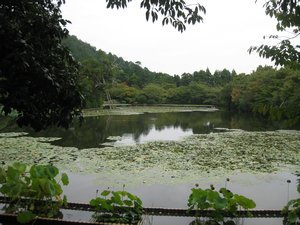 38. Pond, Ryoan-ji temple, Kyoto