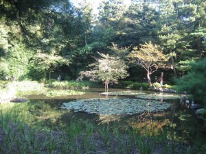 67. Heian-Jingu gardens, Kyoto