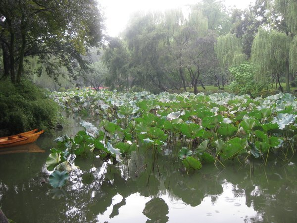 26. The Humble Administrator's Garden, Suzhou