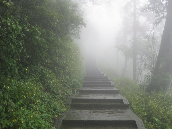 8. A foggy first day on Emei Shan