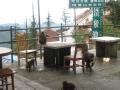 23. Our table for lunch ransacked by Tibetan Macaques on the hunt for food, Emei Shan