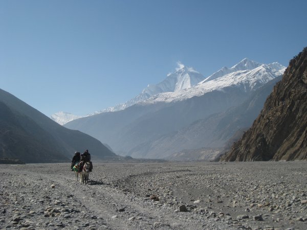 124. Dhaulagiri I, Day 7, The Annapurna Circuit