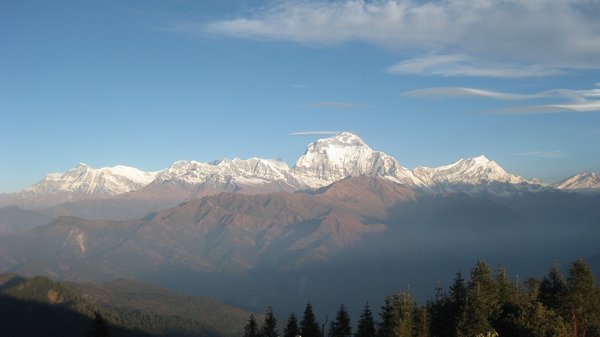 156. The Dhaulagiri Range from Poon Hill.....l to r Dhaulagiri II, Dhaulagiri I, Tukuche, Day 10, The Annapurna Circuit