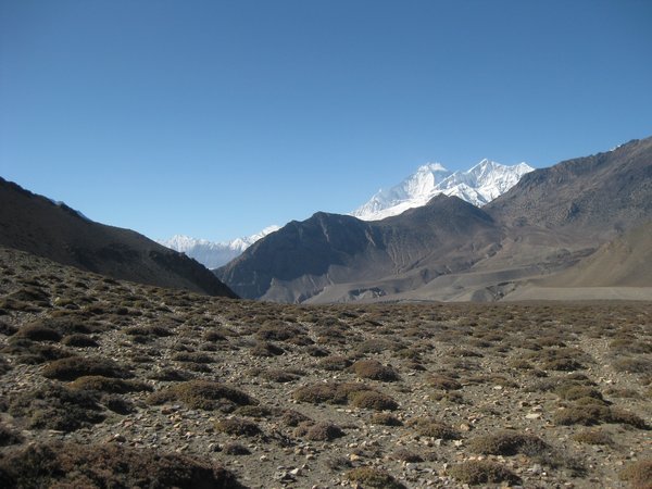119. Dhaulagiri I, Day 7, The Annapurna Circuit