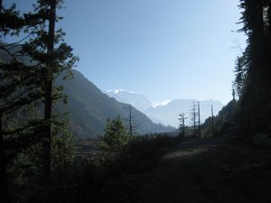 36. Walking in the forest between Timang and Chame, Day 4, The Annapurna Circuit