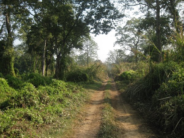 14. Royal Chitwan Park