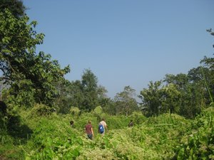 17. Walking through Royal Chitwan Park