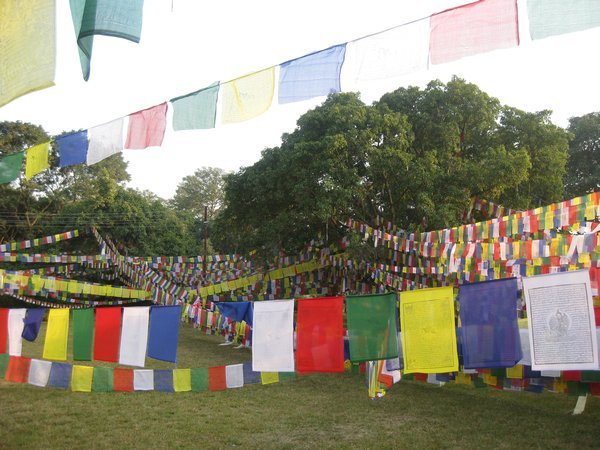 3. Prayer flags everywhere, Mayadevi temple, Lumbini