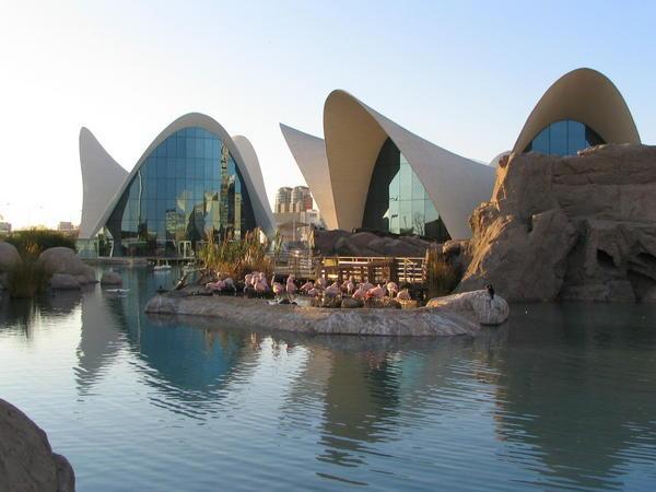 The Valencia Aquarium