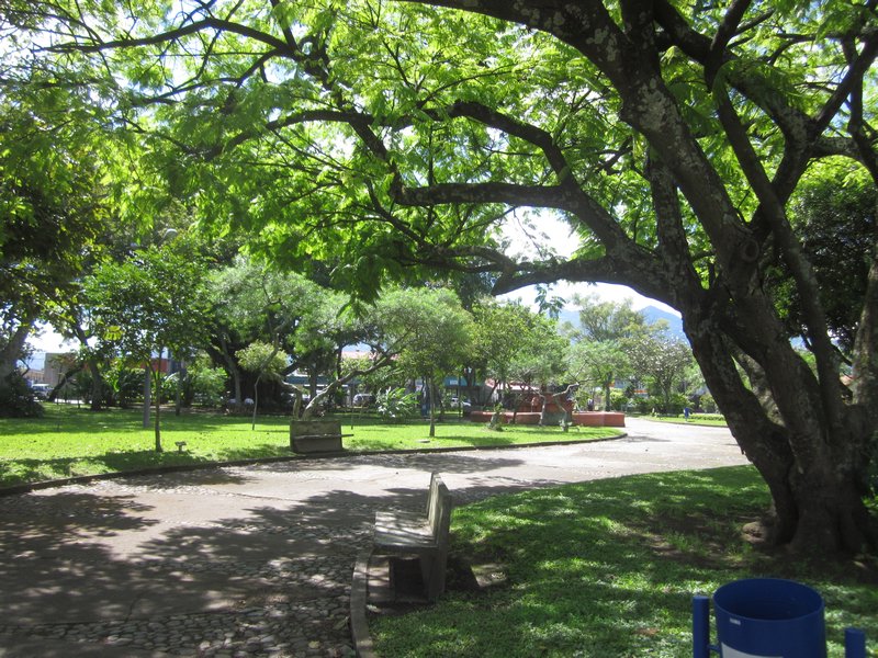 Park in San Jose
