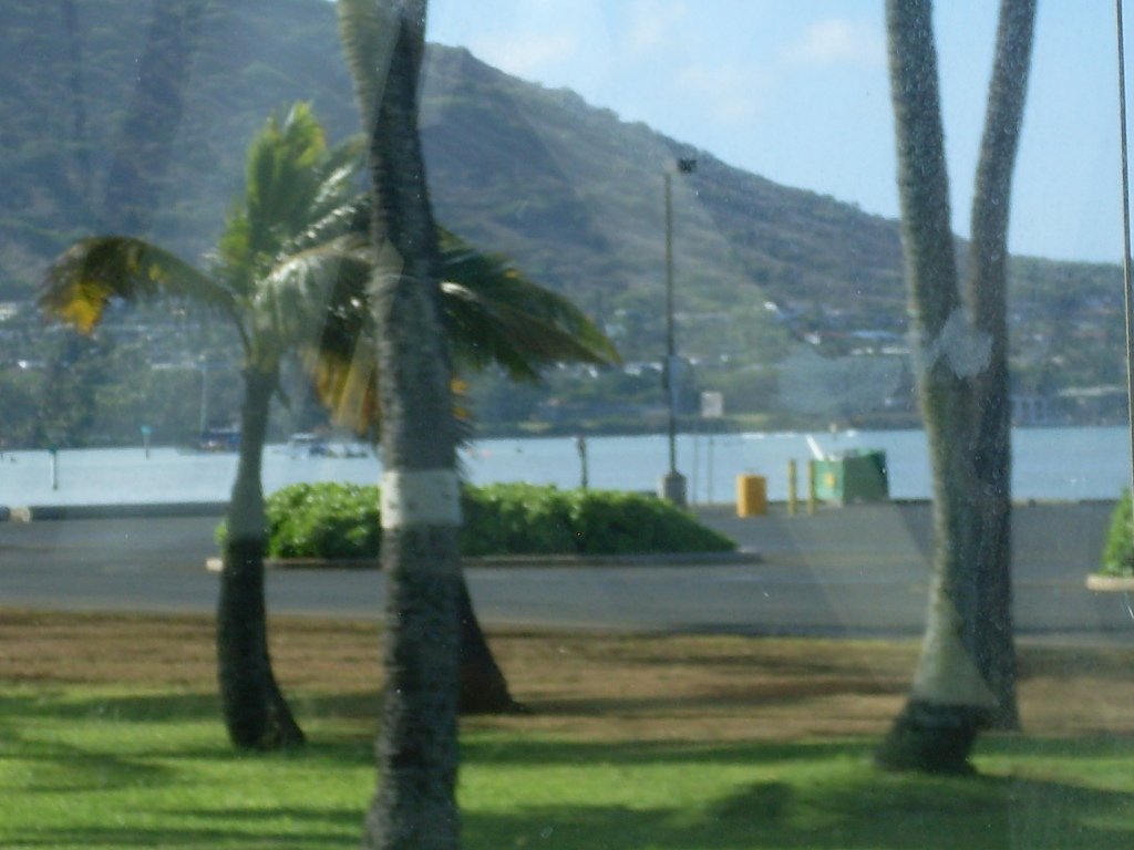 aloha hawaii 030