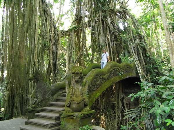 Monkey Forest near Ubud, Bali