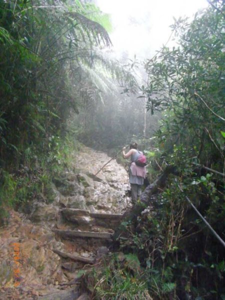 Mt Kinabalu- More rain