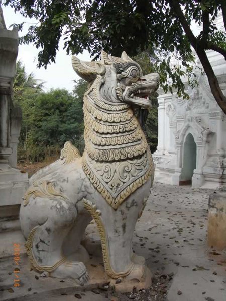 Myanmar Lion