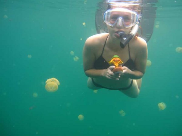 Jellyfish Lake, Eil Malk island, Palau