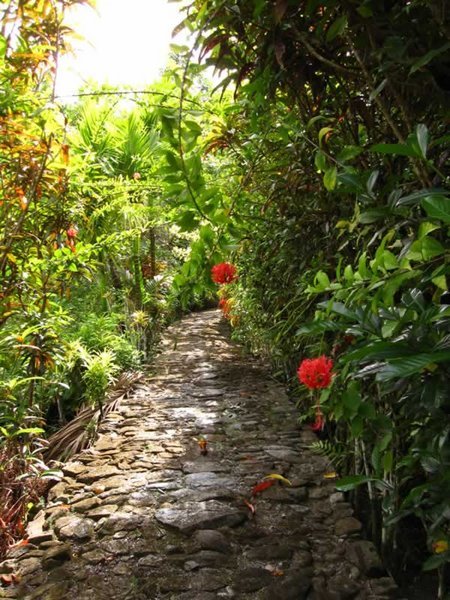 Tamilyog trail, Yap Island