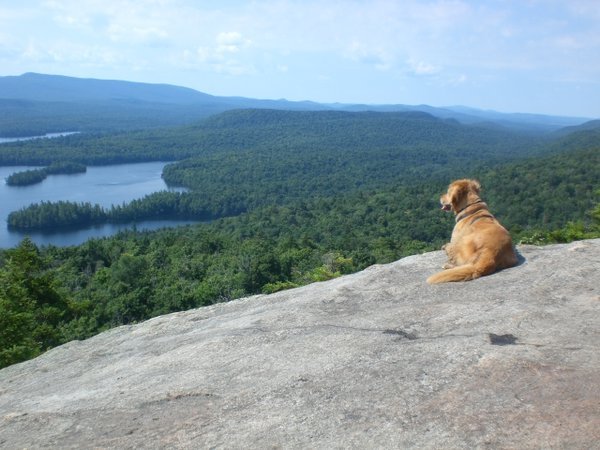 Dog at the top of Castle Rock