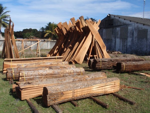 Mozambican lumberyard