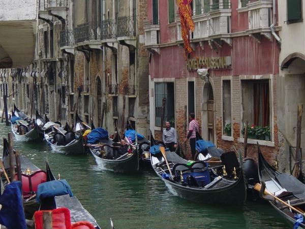 Traffic in Venice