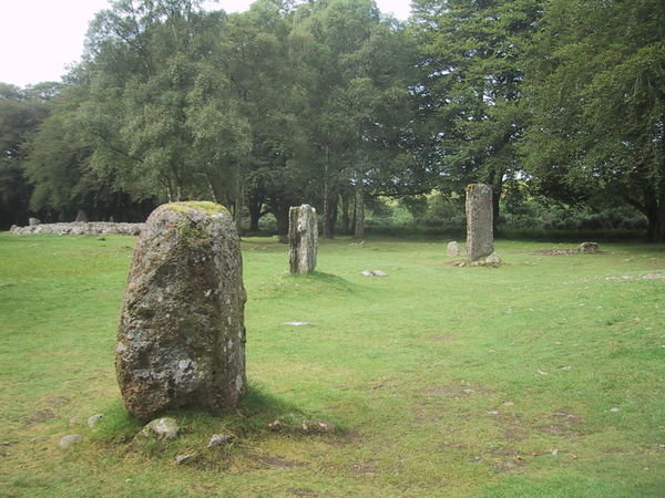 Some of the standing stones