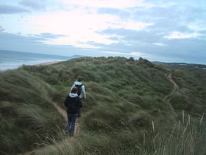 The dune trail
