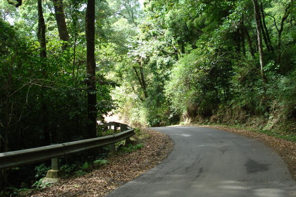 Mountian roads