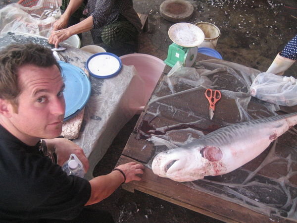Tiger shark at the market in Hoi An