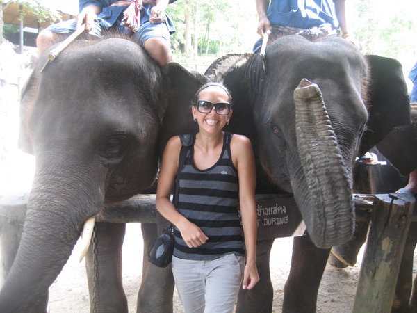 Love the elephants!