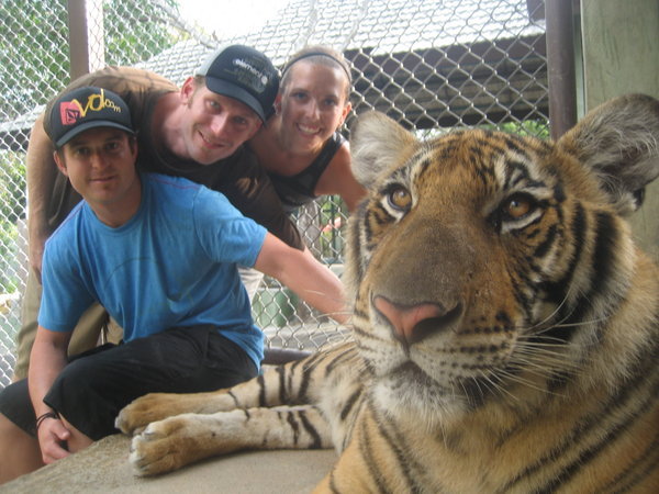 The whole crew with our first tiger