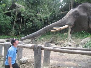 Elephant kisses for Chris