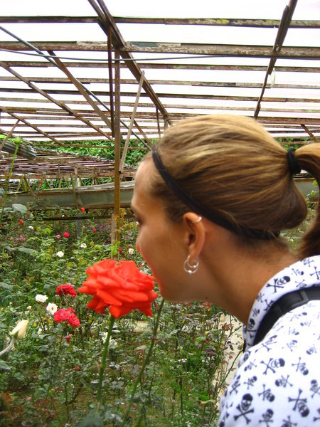 Smelling flowers at the Rose Garden