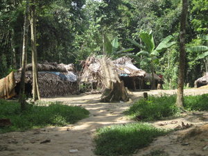 Aborginal village in the middle of the Taman Negara jungle