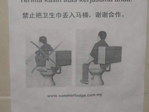 How to use a Western Toilet...