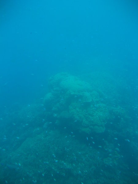 Views of the reef