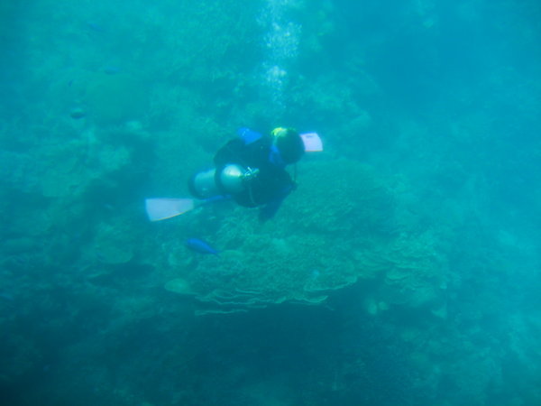 Chris diving below us