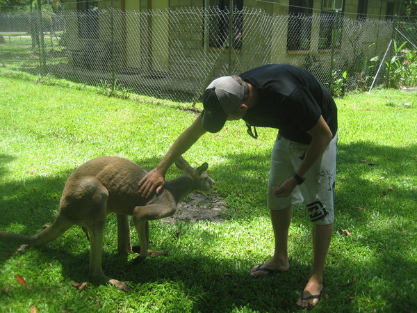Jeff and his blind kangaroo friend