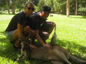 We love the kangaroos