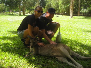 Our kangaroo friend
