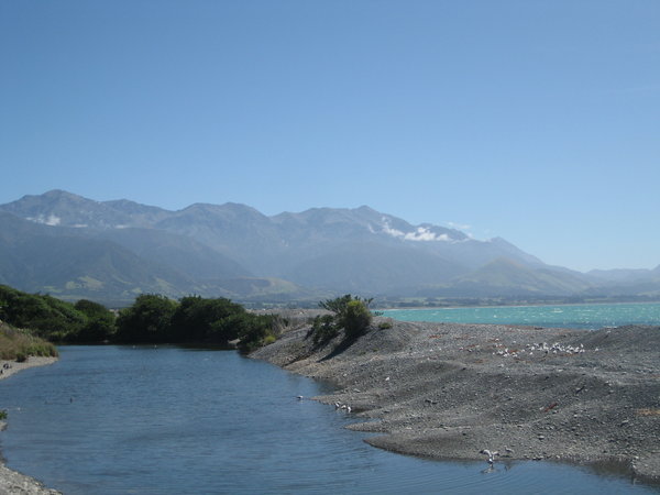 The view of Kaikoura