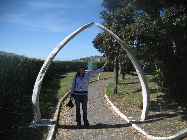The park in Kaikoura