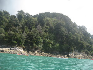 The views of Abel Tasman from the kayak