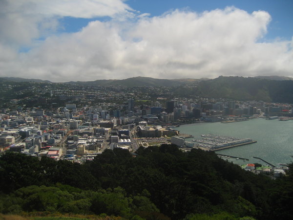 The view of Wellington from Victoria Lookout