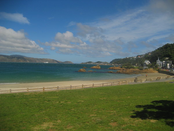 Views along the coast of Wellington