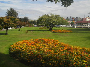 The gardens in Taupo