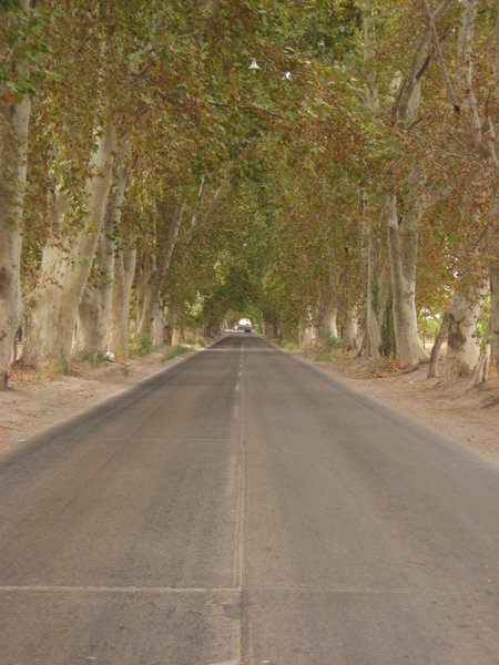 Our winery road