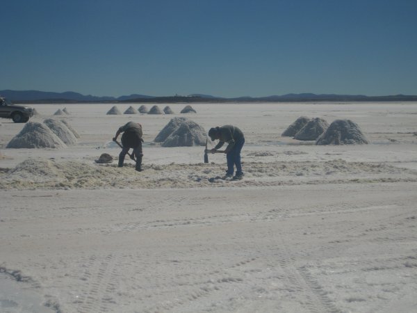 The men harvesting the salt